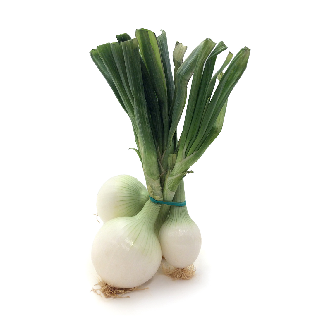 CEBES TENDRES - Manat (Ecobodum)