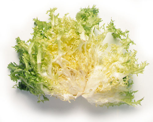 ESCAROLA - Unitat (Ecobodum)