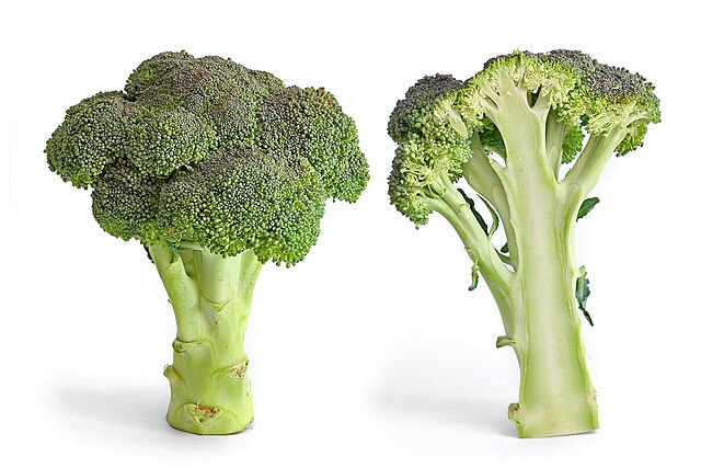 BROCOLI - kg (Ecobodum)