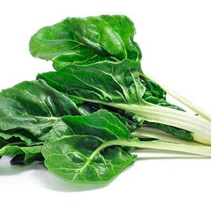 BLEDES - Manat (Ecobodum)