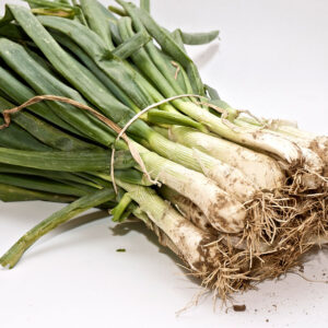 CALÇOTS - Manat (Ecobodum)