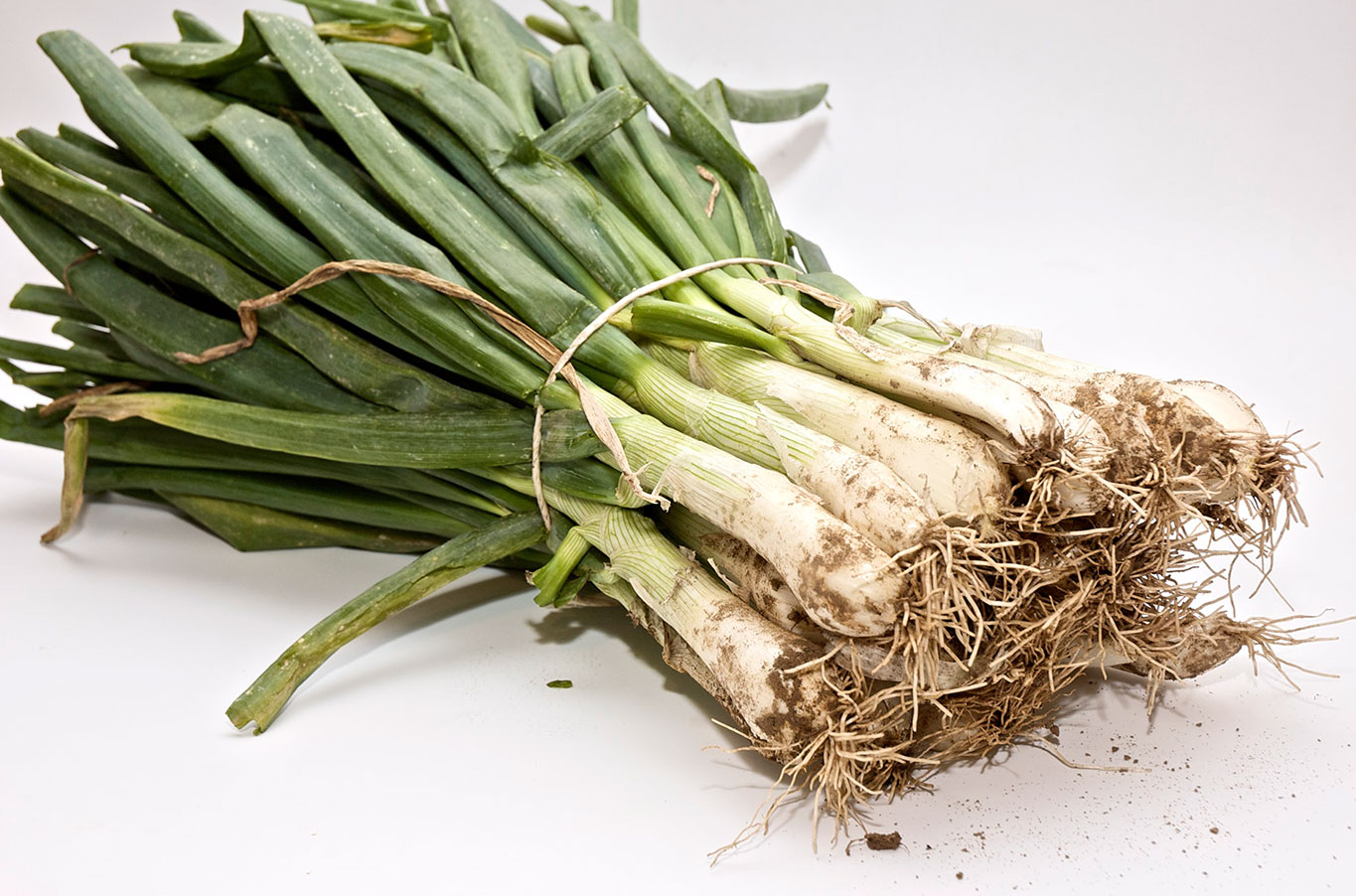 CALÇOTS - Manat (Ecobodum)