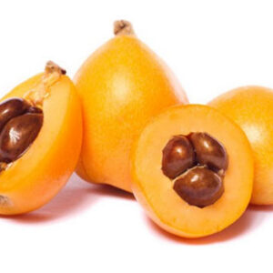 NESPRES - KG (Ecobodum)