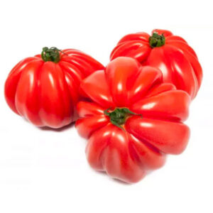 TOMAQUET COR DE BOU - KG (Ecobodum)