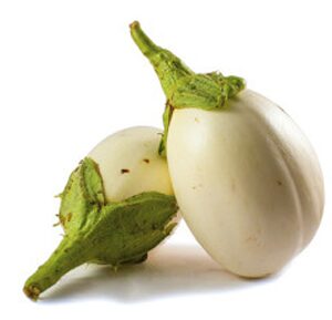 ALBERGÍNIA BLANCA - KG (Ecobodum)