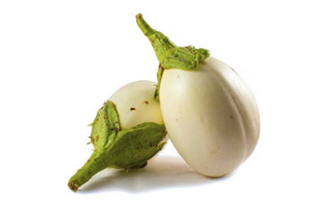 ALBERGÍNIA BLANCA - KG (Ecobodum)