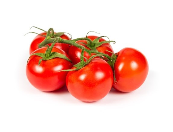 TOMÀQUET BRANCA - KG (Ecobodum)