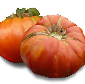 TOMÀQUET MANDÓ DE COLLSEROLA- KG (Ecobodum)