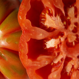 TOMÀQUET ROSA PLE- KG (Ecobodum)